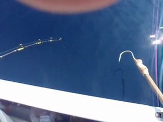 peche au calmar de jour en corse (ajaccio