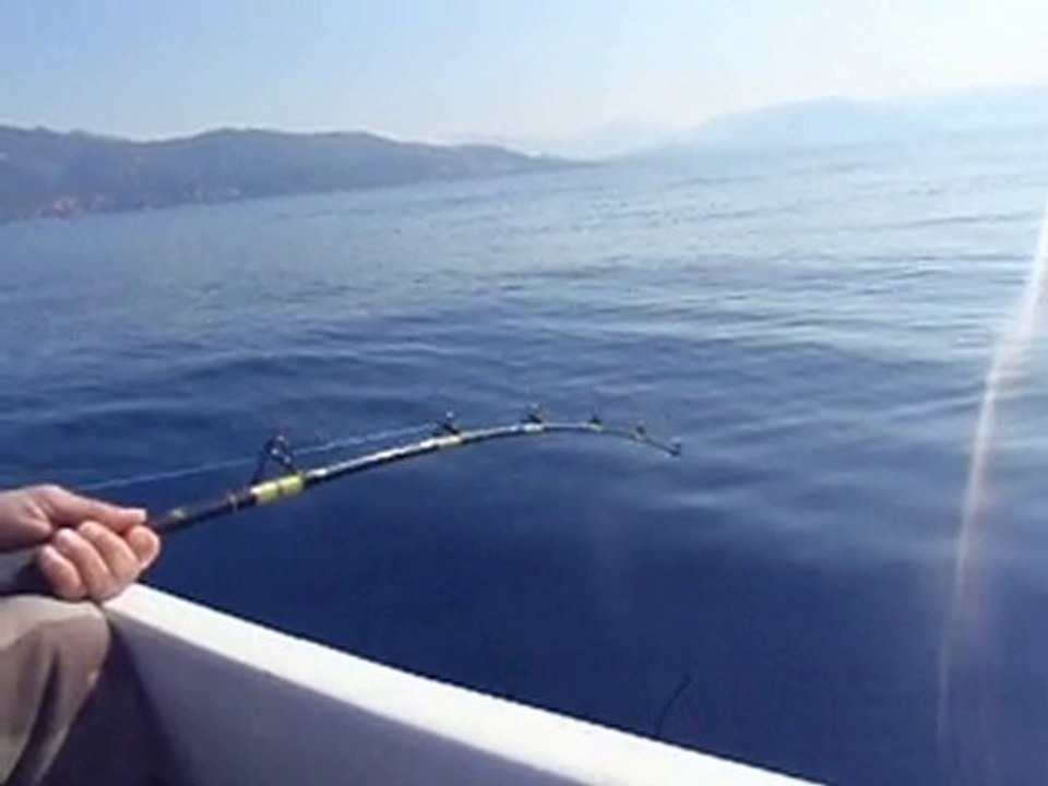 pêche de jour au calmar sur ajaccio (corse) 01