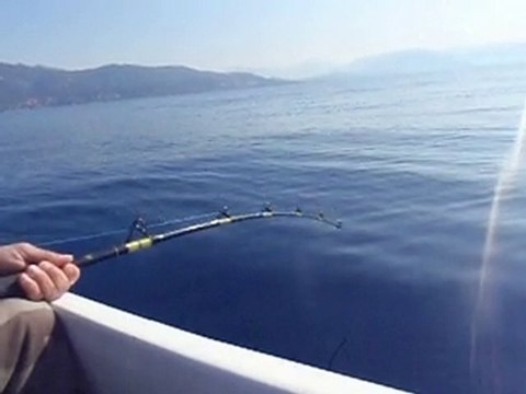 pêche de jour au calmar sur ajaccio (corse) 01