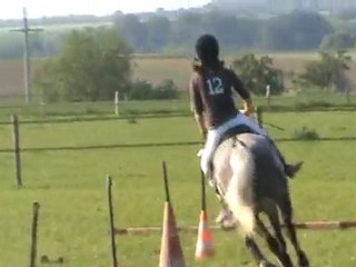 LE cours de Anais