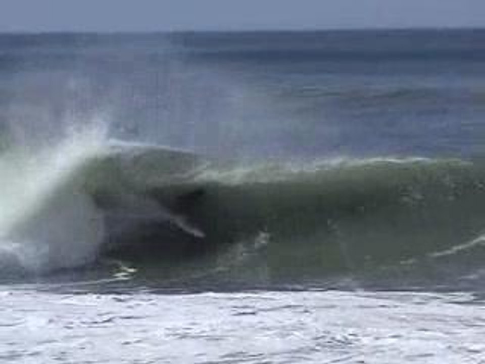 surf pp95