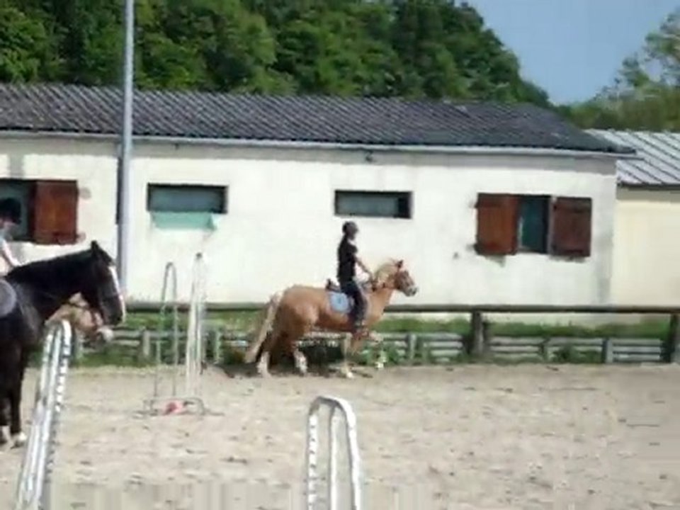 Poneeeeeeey D'amouuuuur : DD
