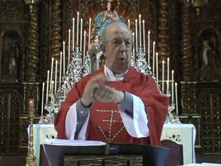 homilía 23 de mayo de 2010