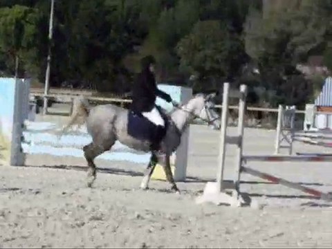 Concours à St Gely du Fesc