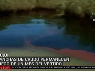 Manchas de crudo permanecen luego de un mes del vertido en e