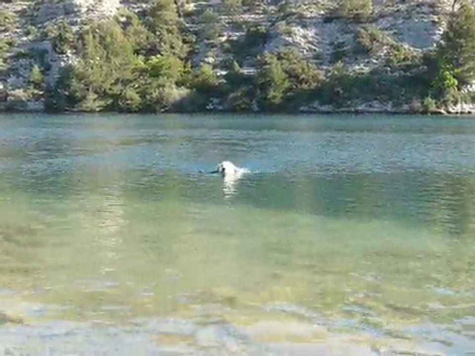 Aramis au lac d'Esparron_01