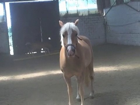 1 mois et 19 jours de vie de spirit