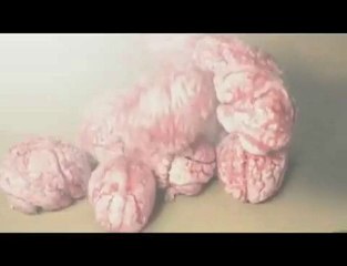 collegehumor.58a119d900677384b728c1ec131514c4