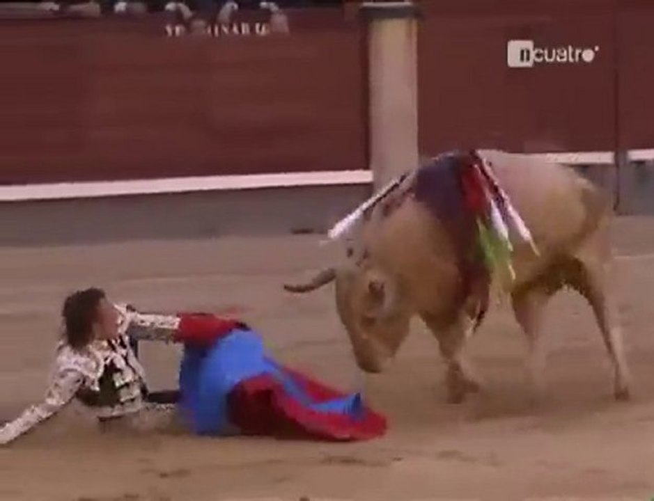 O Toureiro Se Fudeu!