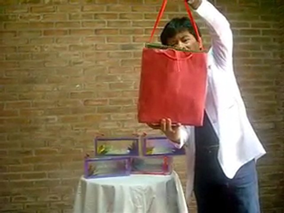 WONDER BAG by Dr. Gertes