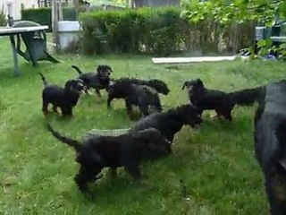 divine et ces bébés à presque 2 mois