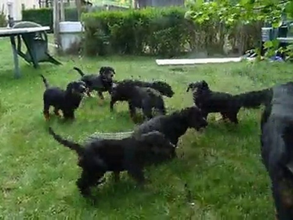 divine et ces bébés à presque 2 mois