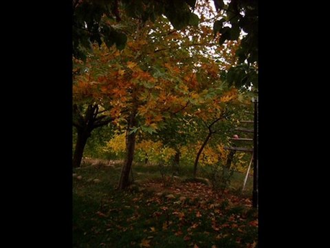 ben seni sevdiğimi kazım koyuncu