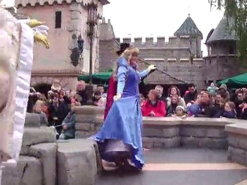 13 mai 2010 disney belle au bois dormant