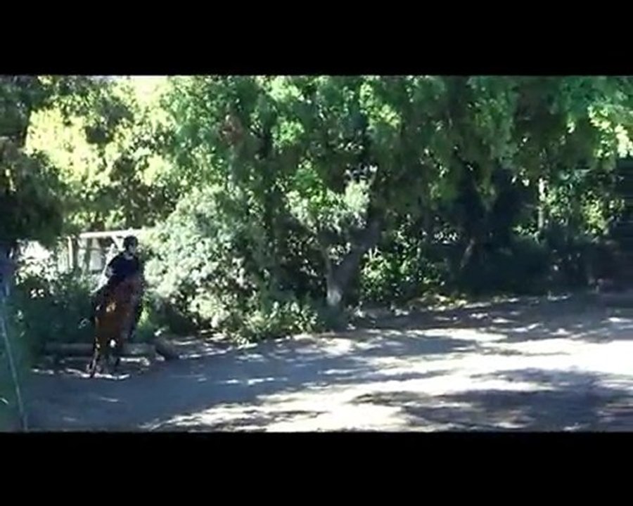 Reprise du 22 mai 2010