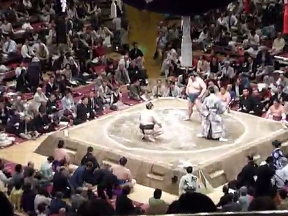 SUMO