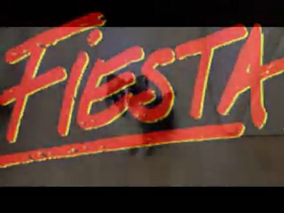 Berger shetland chiot