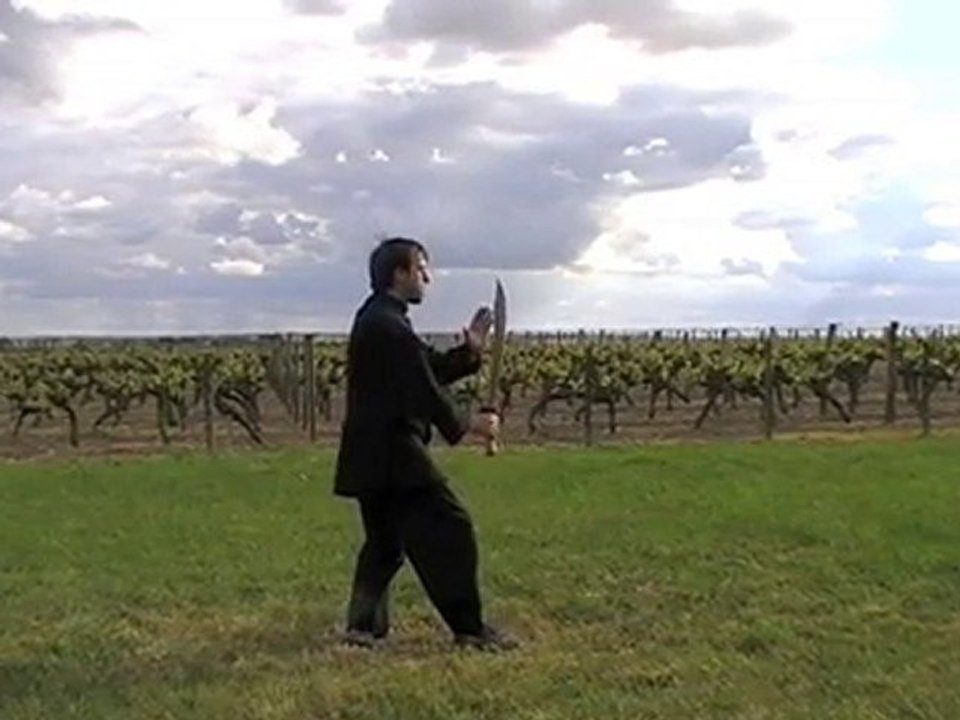 Sabre - saber - style Yang