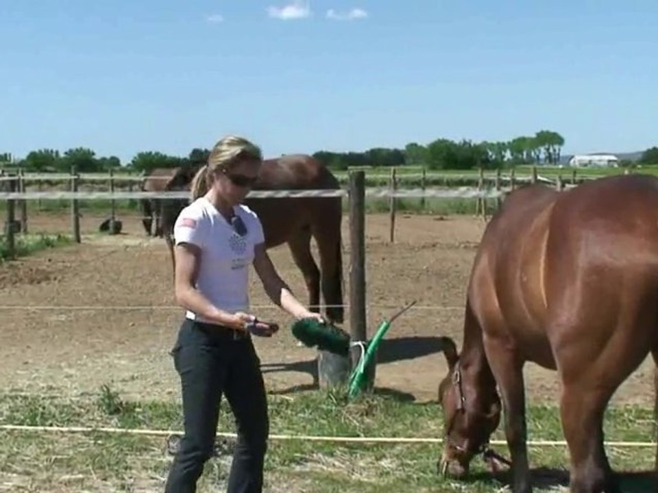 Centre équestre Les Ecuries du relais Fabrègues Hérault