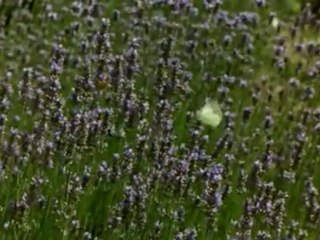 Ölumu Hatırlamak - İmam Gazali