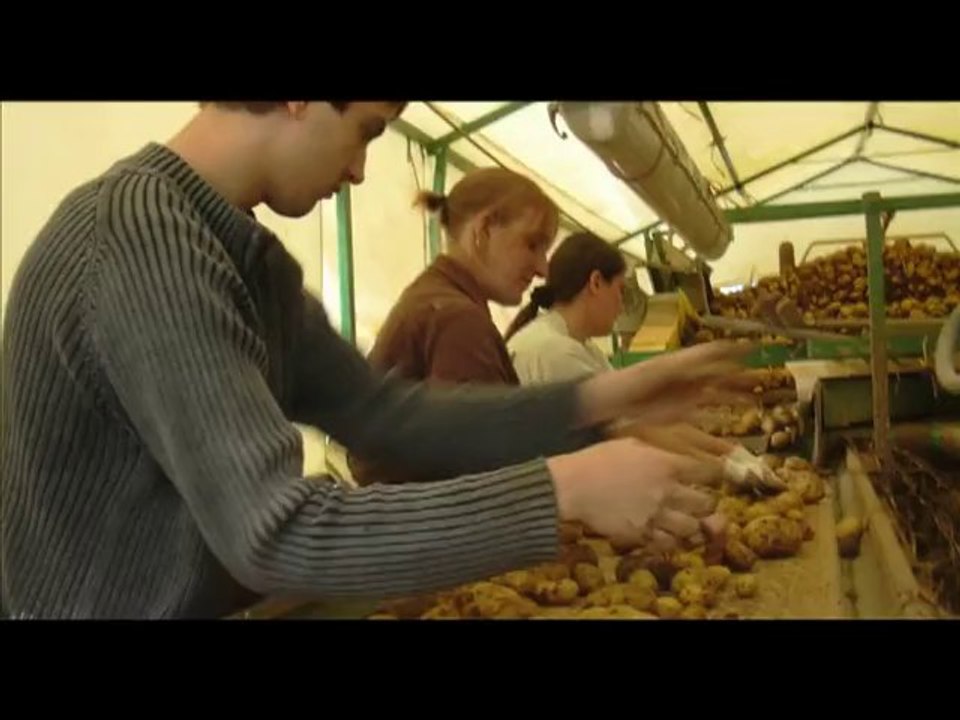 La ferme des Hallain