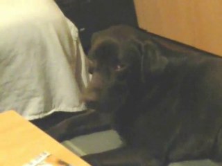 DUB fatiguer 22.05.2010