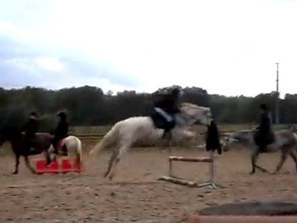 Fantasia et moi En cour :)