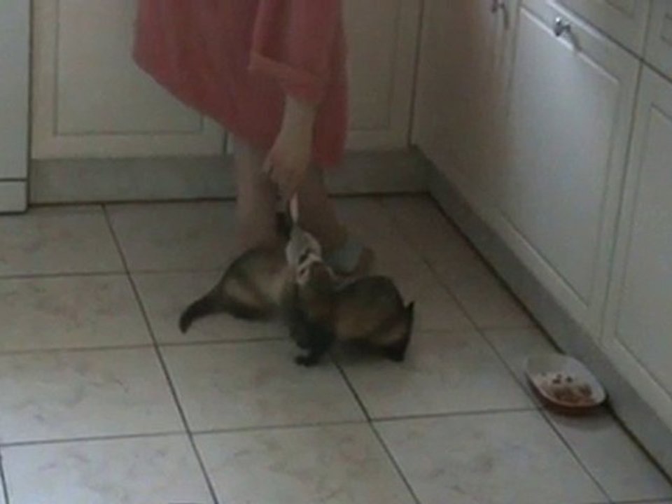 Une bande de gourmands