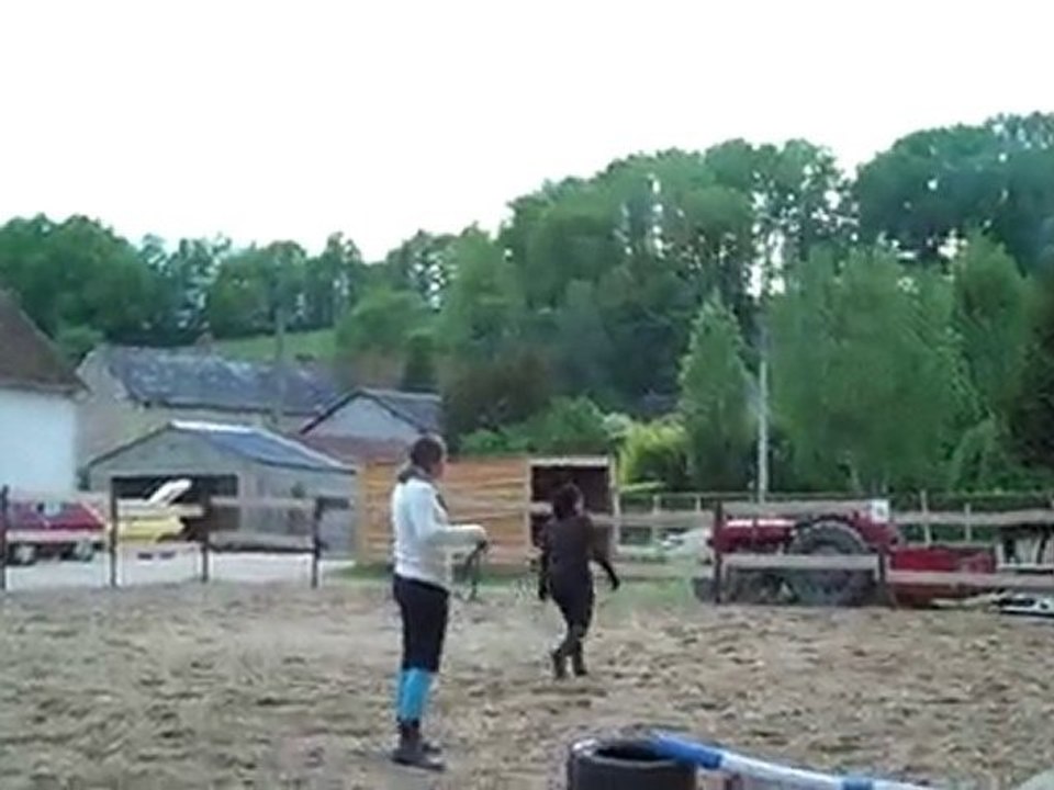 Essai Umara en liberté - petits obstacles au sol