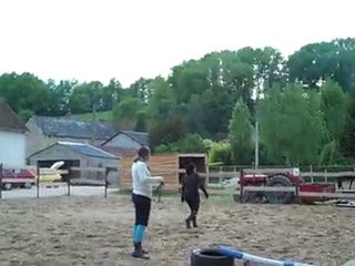 Essai Umara en liberté - petits obstacles au sol