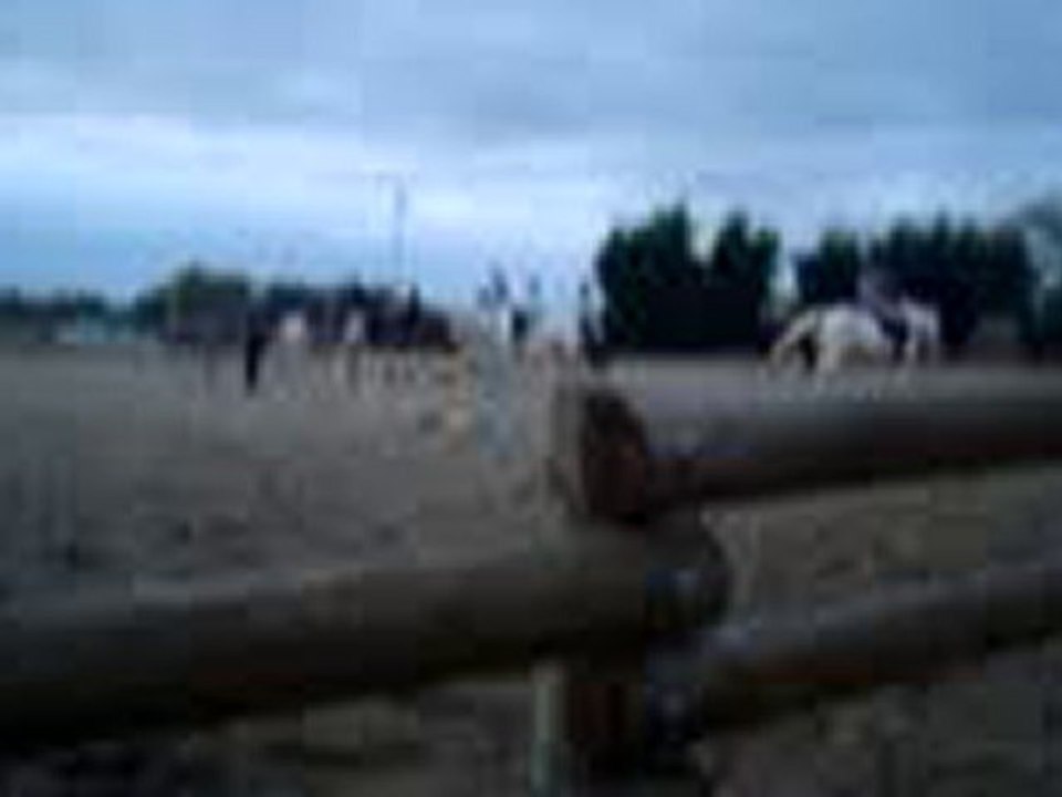 Criin blanc & Albane