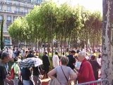 La Nature aux Champs-Elysées : vue d'en bas