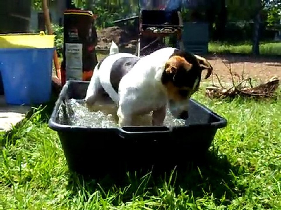 touille dans la piscine