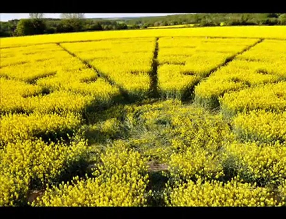 Crop circle Wiltshire Mai 2010. Code ?
