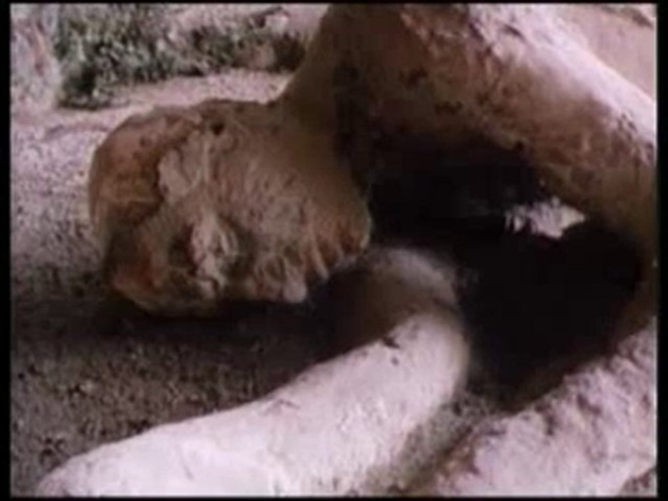 Pompei'nin helakı
