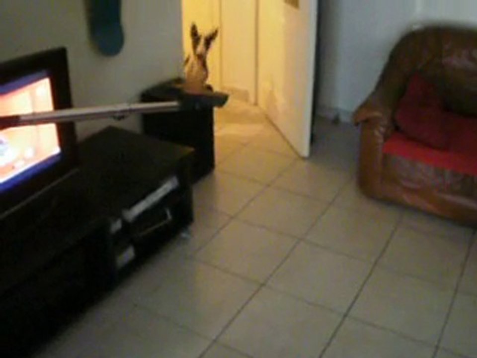 jaxson VS aspirateur