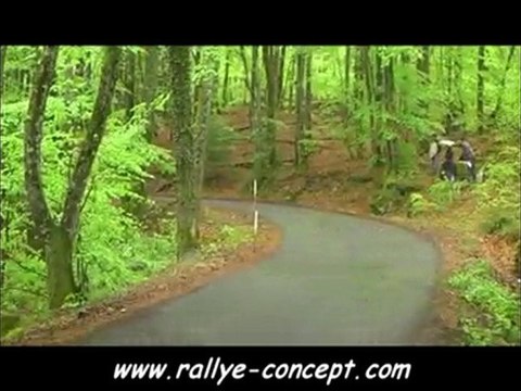 Rallye Val d'Agout 2010 Team KRS CREMADES/RIVALS