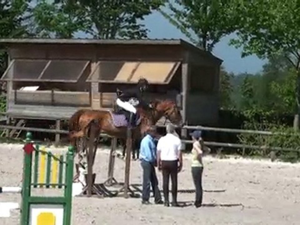 Primerose 23 05 2010