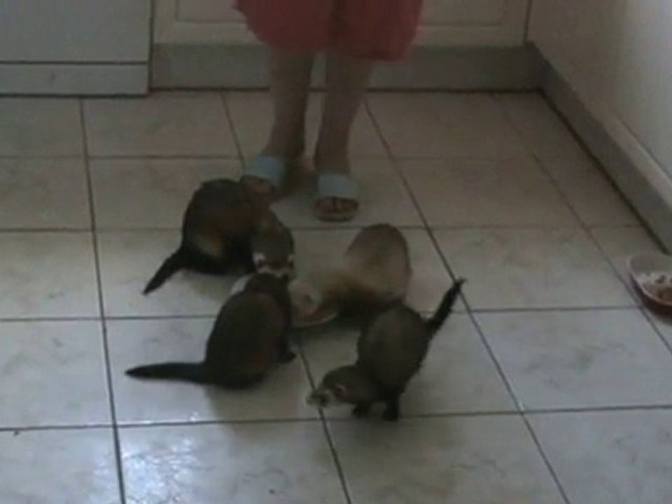 Bande de gourmands 2