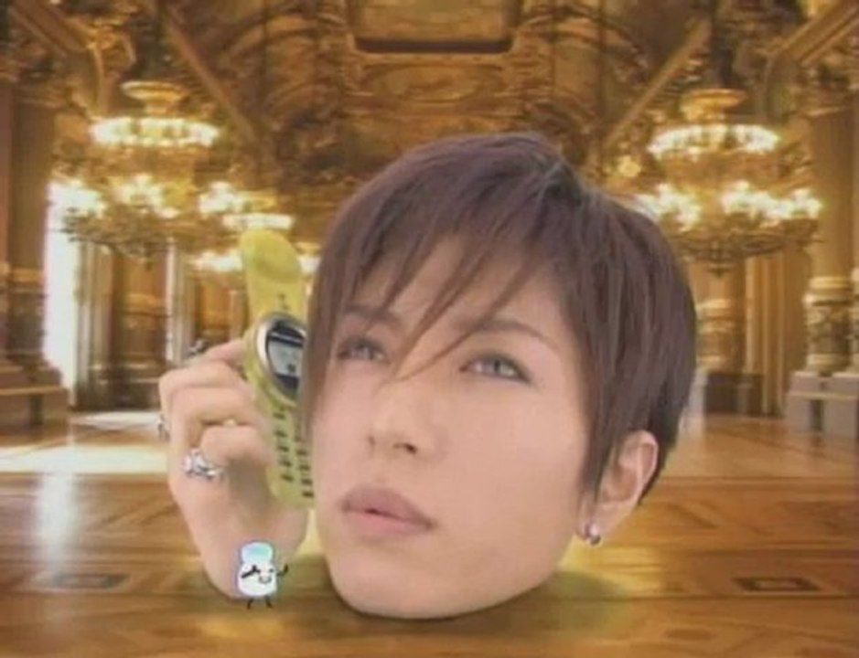 Puccho (3)