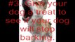 A Few Great Tips To Stop Your Dog From Barking