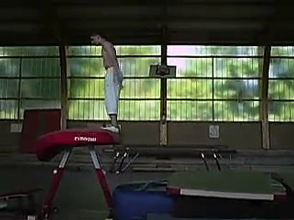 salto arrière vrillé