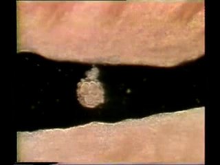 İnsanın "alak"tan yaratılışı