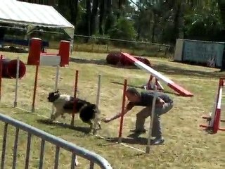 AGILITY GRAND PRIX DE FRANCE LA TESTE DE BUCH LE 23/05/10