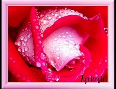 ilahi videolar,wWw.canmedinem.net Ekrem kaya Arafat dağı