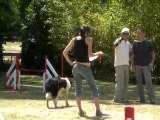 CONCOURS D'AGILITY, JUMPING? LA TESTE DE BUCH DIMANCHE 23/05