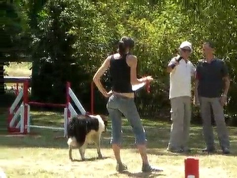 CONCOURS D'AGILITY, JUMPING? LA TESTE DE BUCH DIMANCHE 23/05