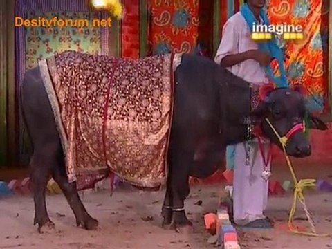 Desi Girls - 23rd May 2010 Watch Online - Part5