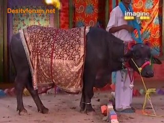 Desi Girls - 23rd May 2010 Watch Online - Part5