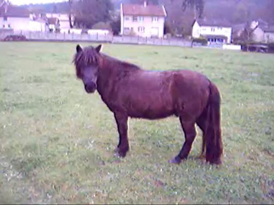 Avril 2010